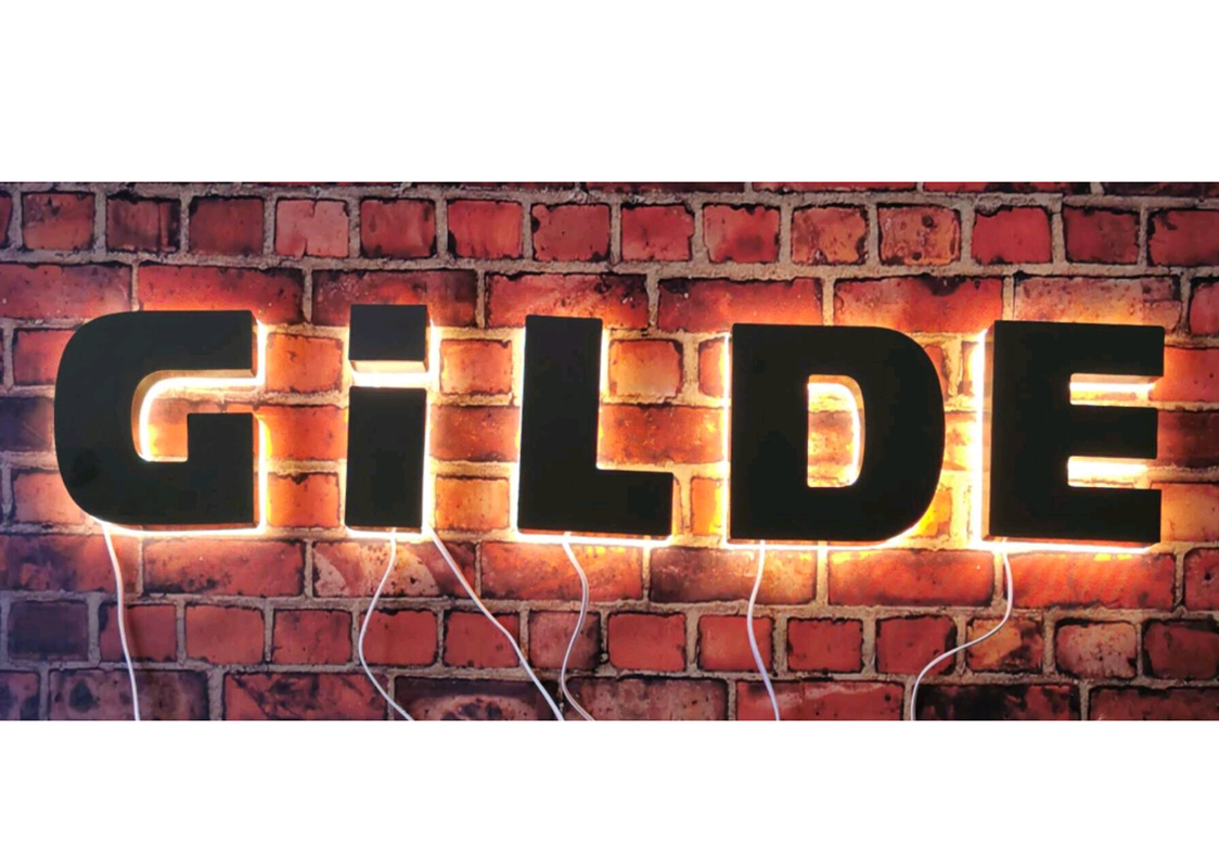 Stainless steel sign, Illuminated Logo Sign-Backlit-Brushed Metal with acrylic- 3D Design Personalized Signage-Personalized Channel Letters
